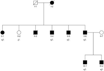 Whole-Exome Sequencing Implicates Neuronal Calcium Channel with Familial Atrial Fibrillation